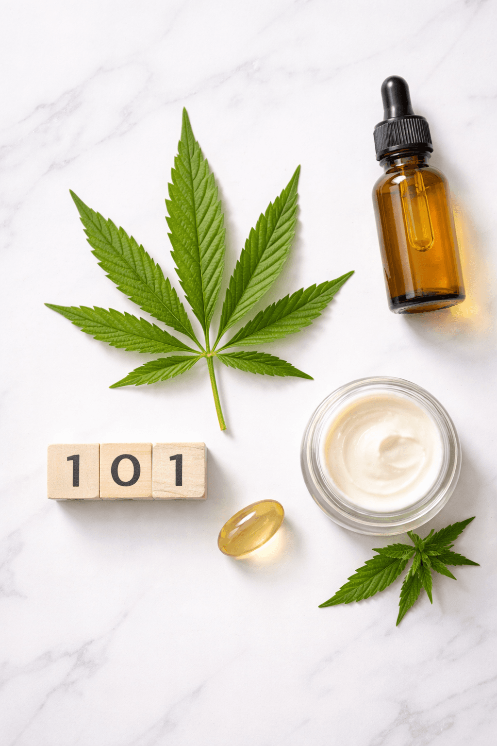 CBD vs THC: Understanding the Key Differences - CBD education article by CJ's Medicine Cabinet